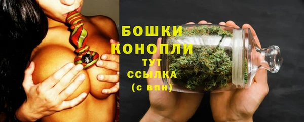 PSILOCYBIN Балабаново