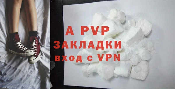 PSILOCYBIN Балабаново