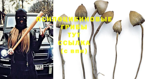 PSILOCYBIN Балабаново